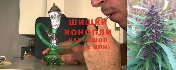индика Губаха