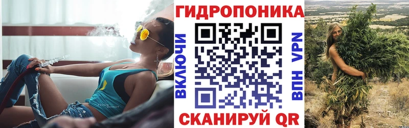 Бошки Шишки семена  Суворов 